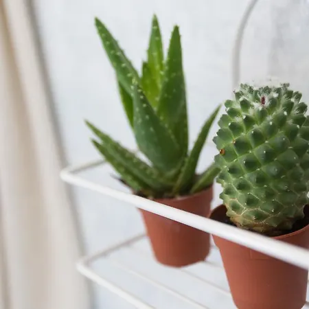 Gianlore 3* ミラノ・マリッティマ