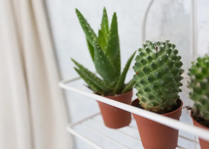 Gianlore 3* Milano Marittima